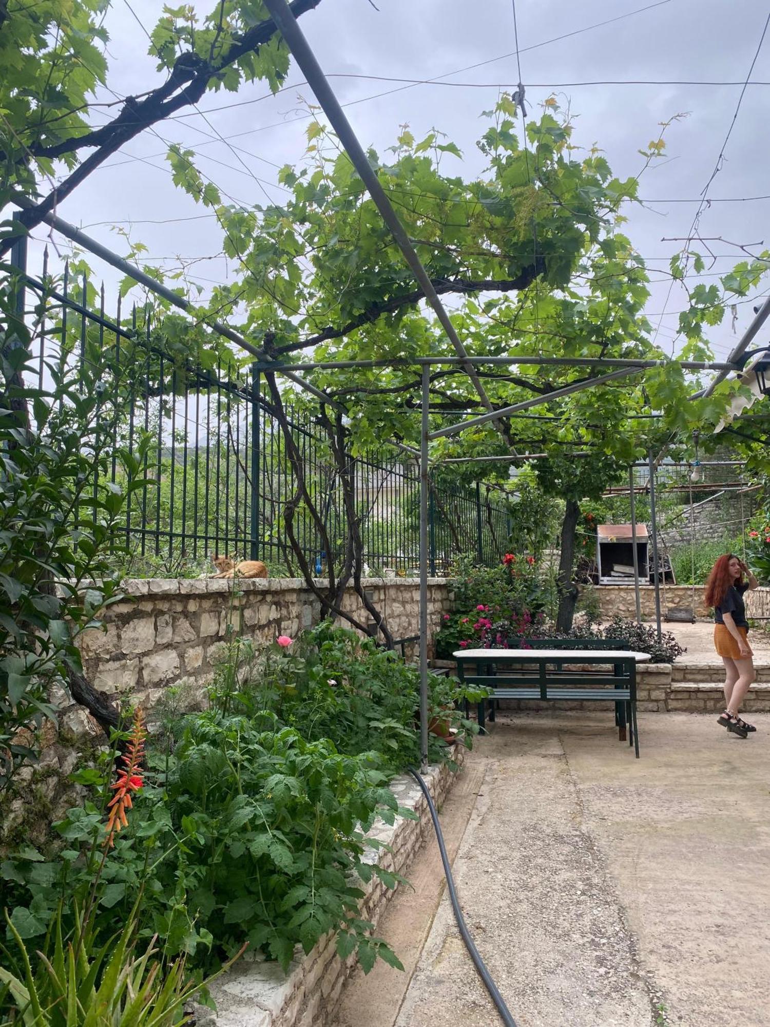 Oasis Hostel Himare Ngoại thất bức ảnh